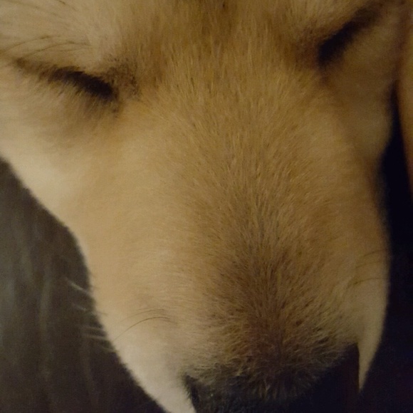 Meet your Posher, WYZCRKR - Picture 8 of 8